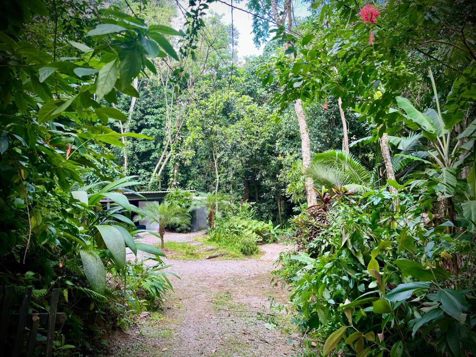 Mari Pouso - Refugio Natural - Rio de Janeiro — Fotos 1